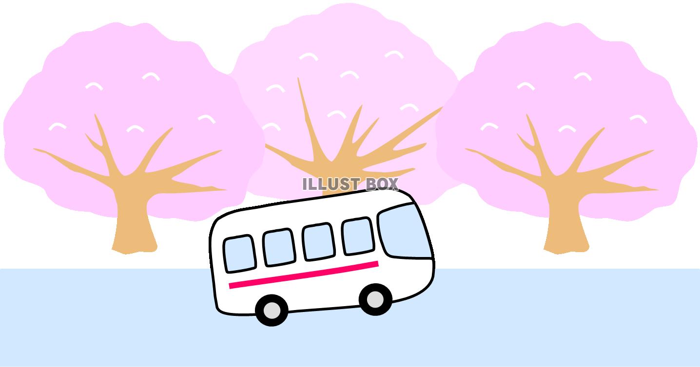 桜並木とバス　赤（春の行楽、お花見、さくら、春休み、旅行）
