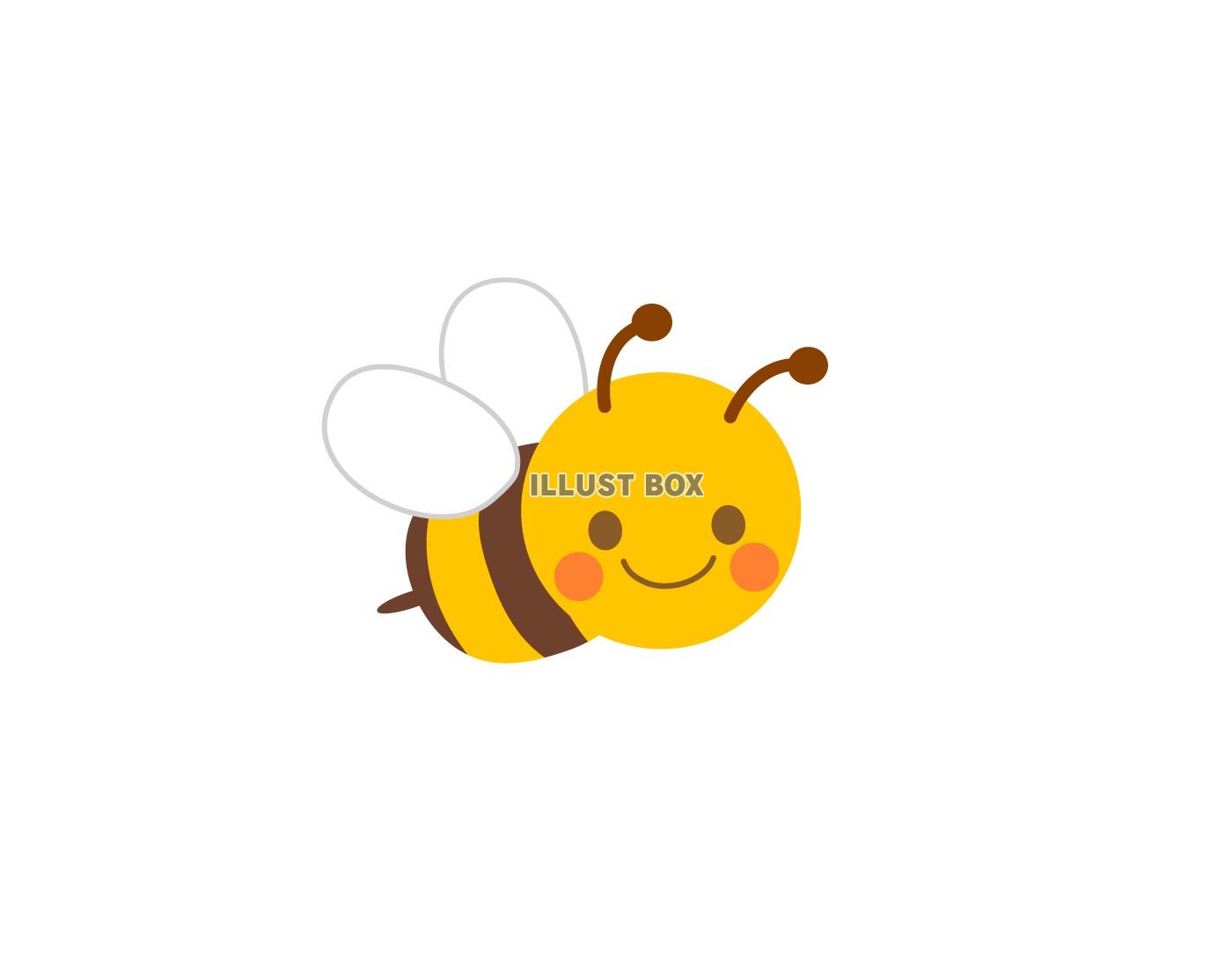 ミツバチ3