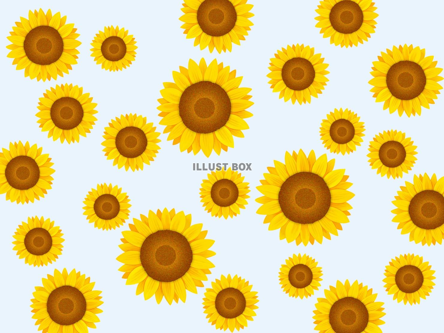 ひまわりの壁紙、向日葵の背景素材イラスト