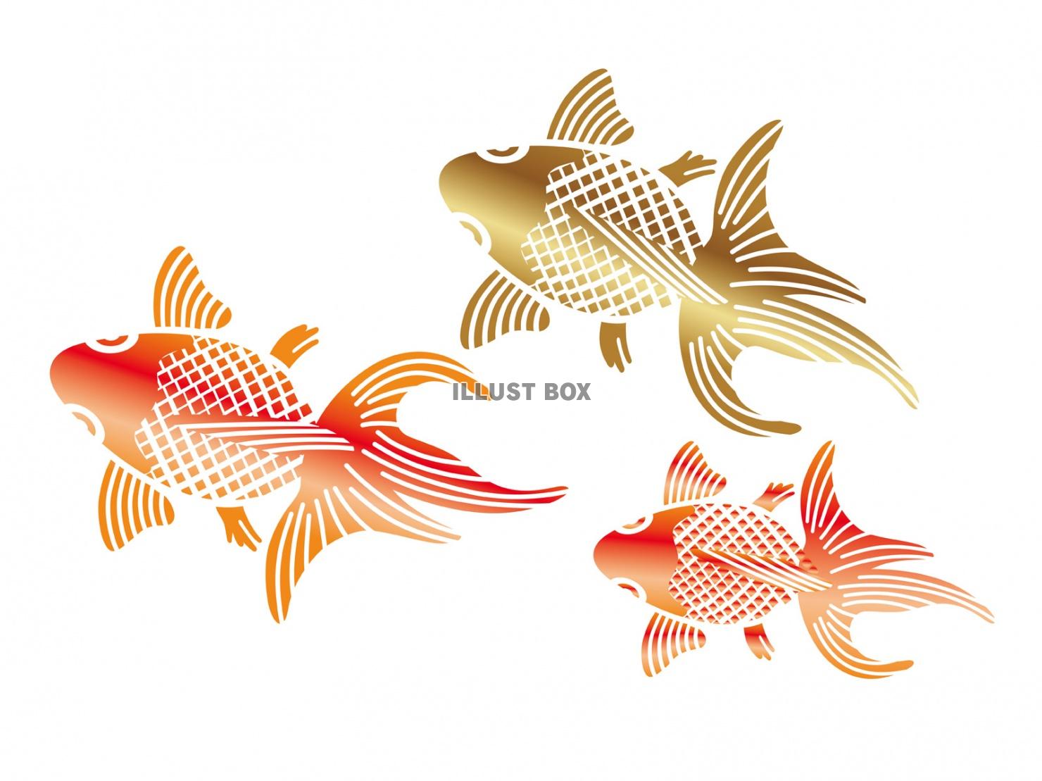 和柄　金魚の納涼イラスト