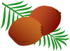 ヤシの実と葉っぱ　２　(トロピカルフルーツ　椰子　やし　果物　夏　南国）