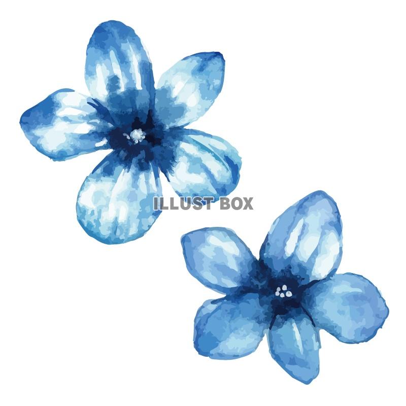 【水彩】青い花のイラスト