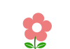 透過あり・お花（別途・帯セット素材）ピンク枠フレーム2