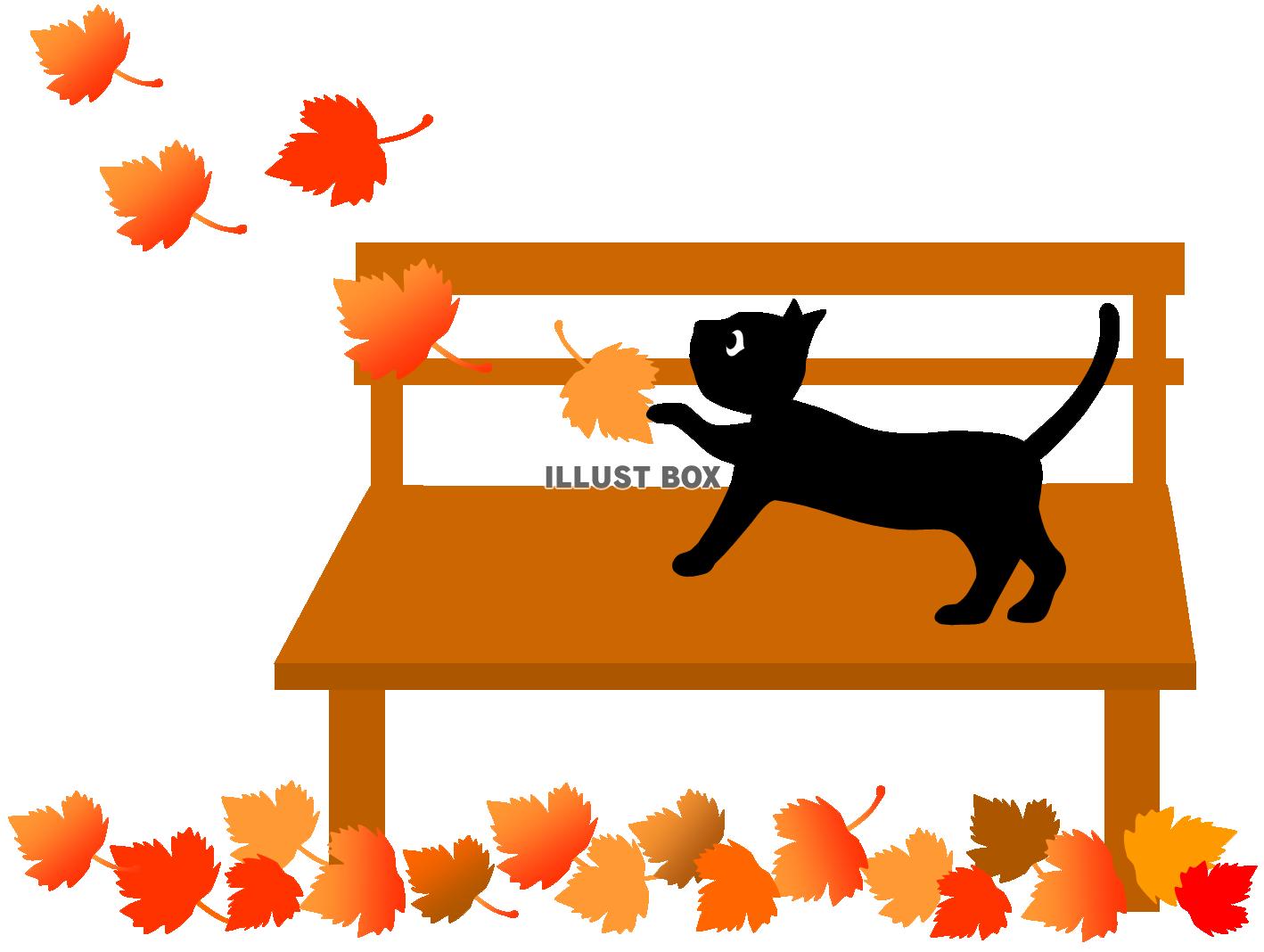 秋のベンチとねこ　（紅葉、落ち葉、プラタナス、公園、猫、ネコ...
