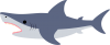ホオジロザメ