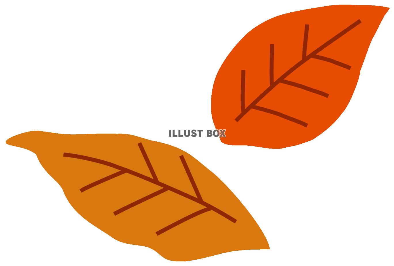  落ち葉３（秋、冬、枯れ葉）