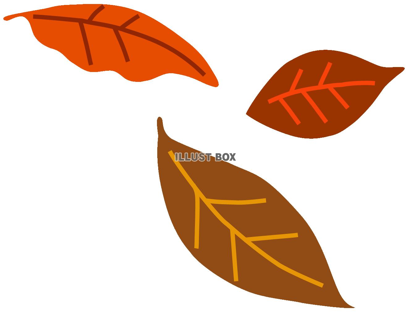  落ち葉７（秋、冬、枯れ葉）