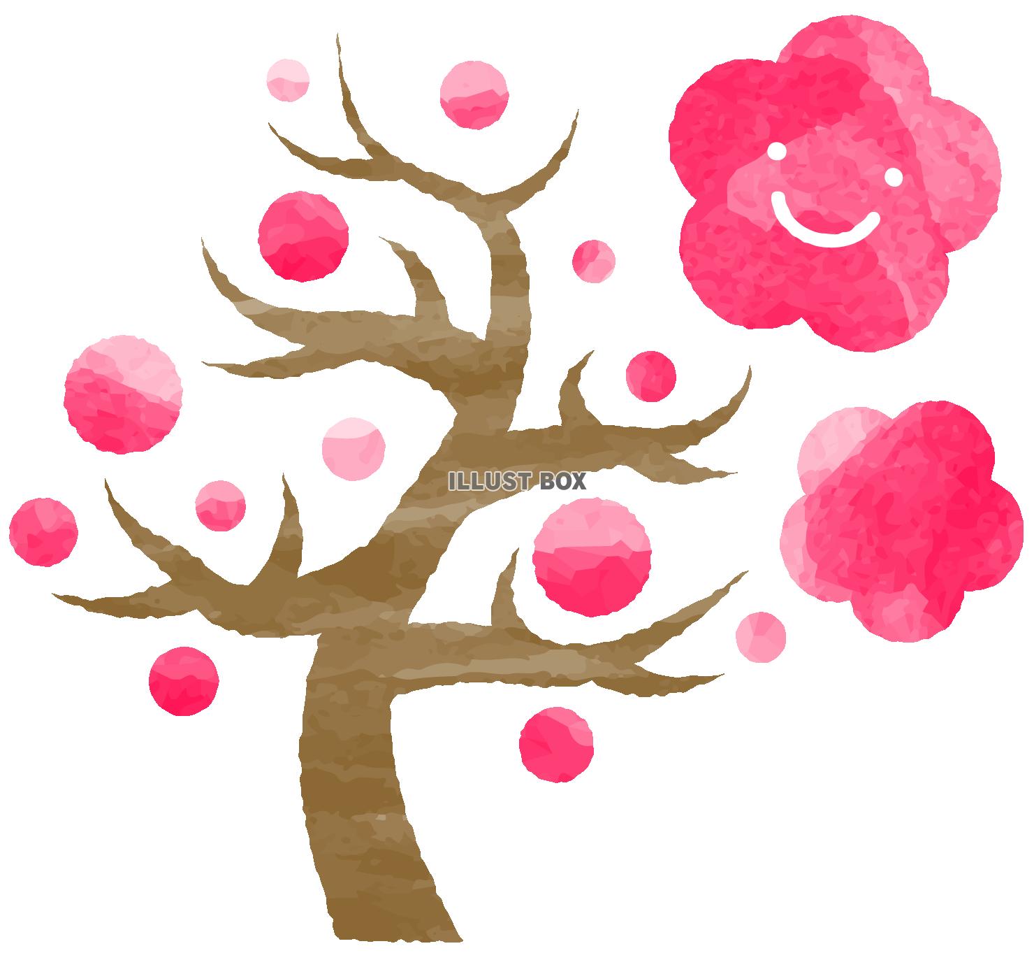 手描き風笑顔の梅の花と梅の木