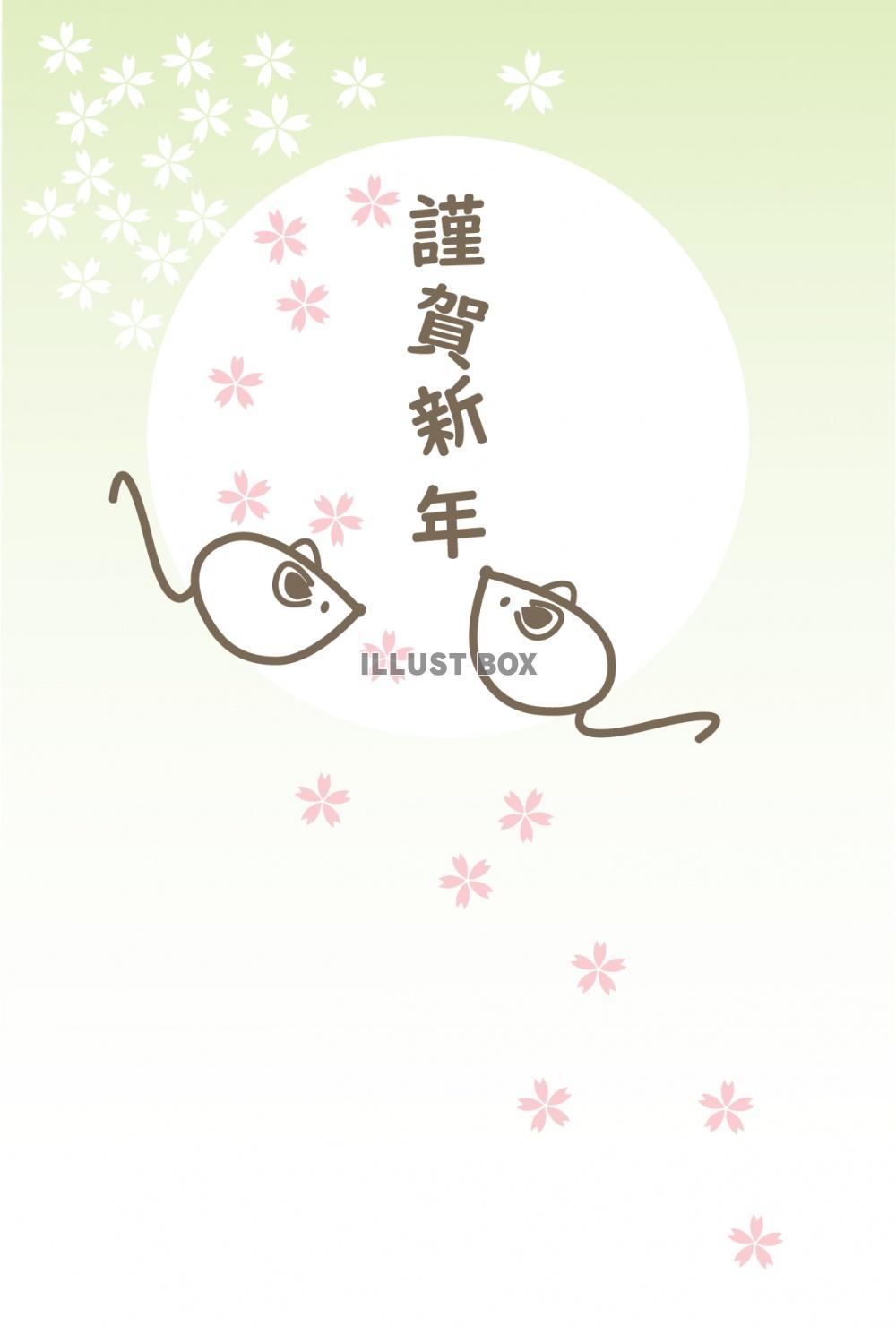 年賀状　子年　桜の花と２匹の白ネズミ（謹賀新年）