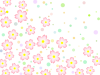 桜の花柄と水玉模様の壁紙背景素材イラスト。透過PNG