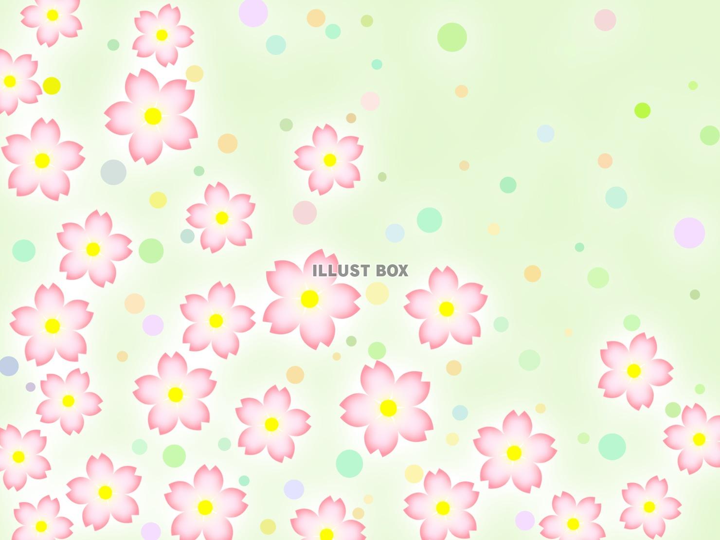 桜の花柄と水玉模様の壁紙背景素材イラスト