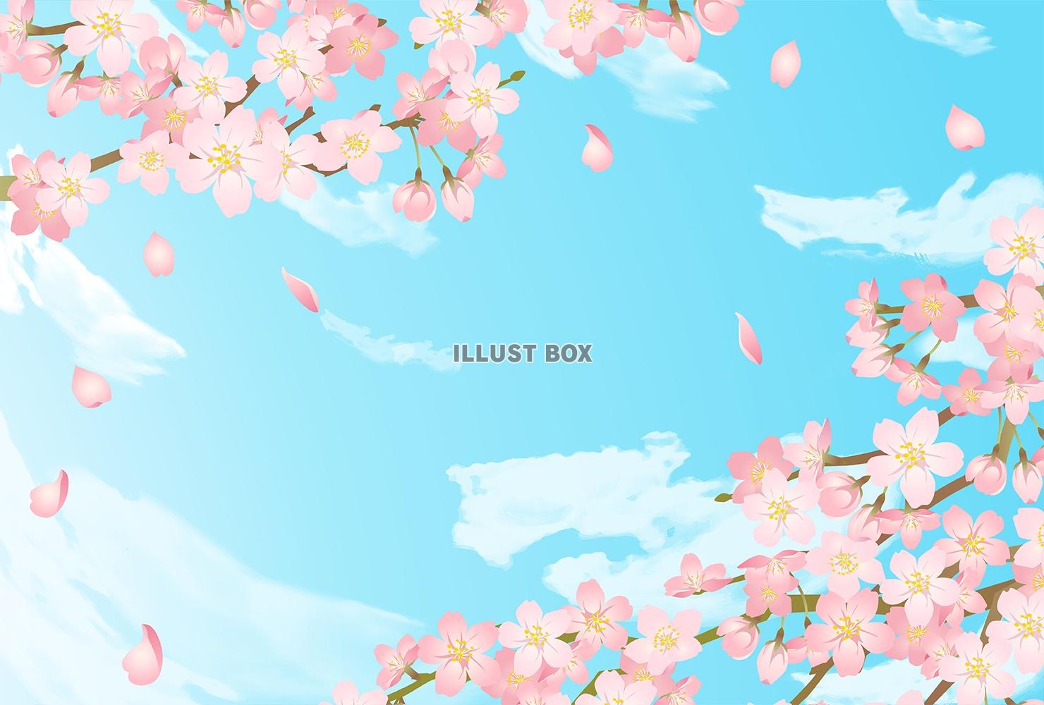 春のかわいい桜フレーム枠イラスト02/青空