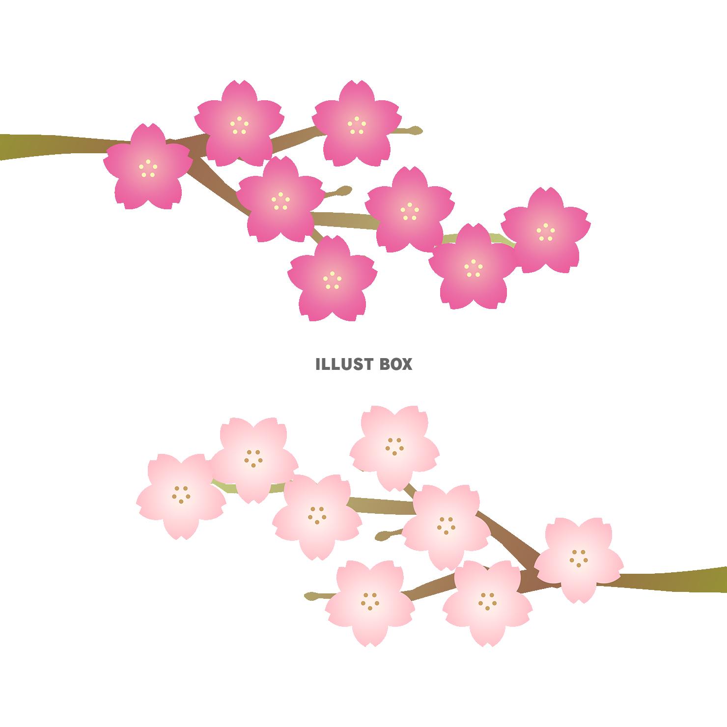 桜の木の枝イラスト【透過PNG/ベクター】