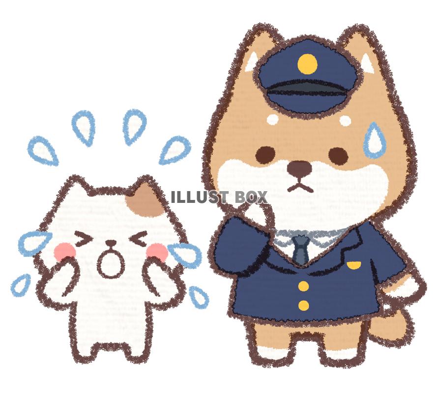警察官イヌと迷子のネコ