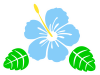 白フチの青いハイビスカスと葉2枚（透過）