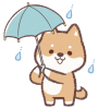 傘さしイヌ