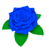 ブルーのバラ