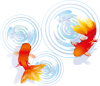 金魚波紋背景水面イラスト夏水彩壁紙シンプル和風手書きシルエット和 キラキラかわい