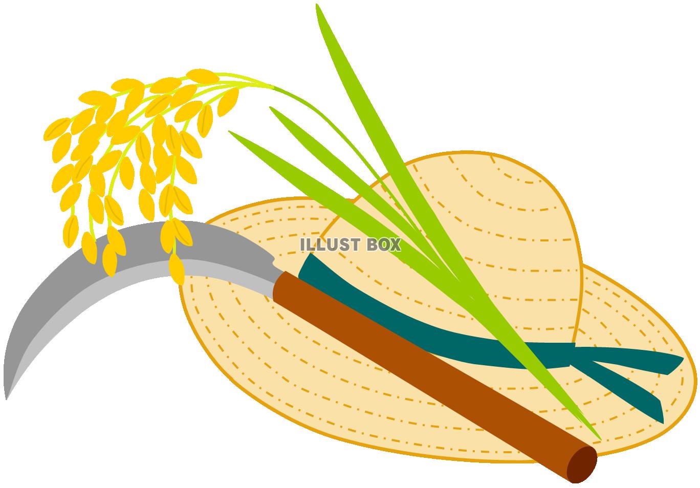 稲刈り６（麦わら帽子、鎌、秋、米、稲穂、豊作）