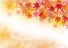 紅葉背景もみじおしゃれフレーム枠秋和イラスト枠楓和風飾り枠葉壁紙冬11月和柄バッ