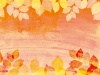 紅葉背景壁紙葉っぱ10月11月和風植物シルエットフレーム枠飾り装飾オレンジ柿水彩