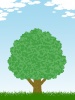 樹木風景画壁紙シンプル背景素材イラスト
