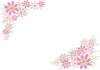秋桜シンプル飾り枠