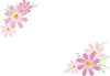 秋の花コスモスのシンプル飾り枠【9月10月11月頃の植物・透過PNG画像】