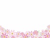 秋の花コスモスのシンプル飾り枠【9月10月11月頃の植物】