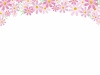 秋の花コスモスのシンプルライン飾り枠【9月10月11月頃の植物】 