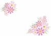  秋の花コスモスのシンプルライン飾り枠【9月10月11月頃の植物】
