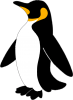 ペンギンのイラスト（親鳥）