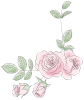 透過・バラのペン画イラスト　植物シックコーナー手紙挨拶案内花薔薇手書き手描き