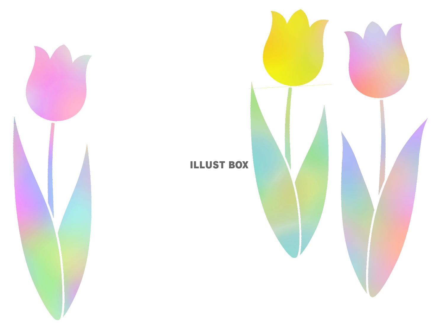 チューリップ壁紙花模様背景素材イラスト。透過PNG