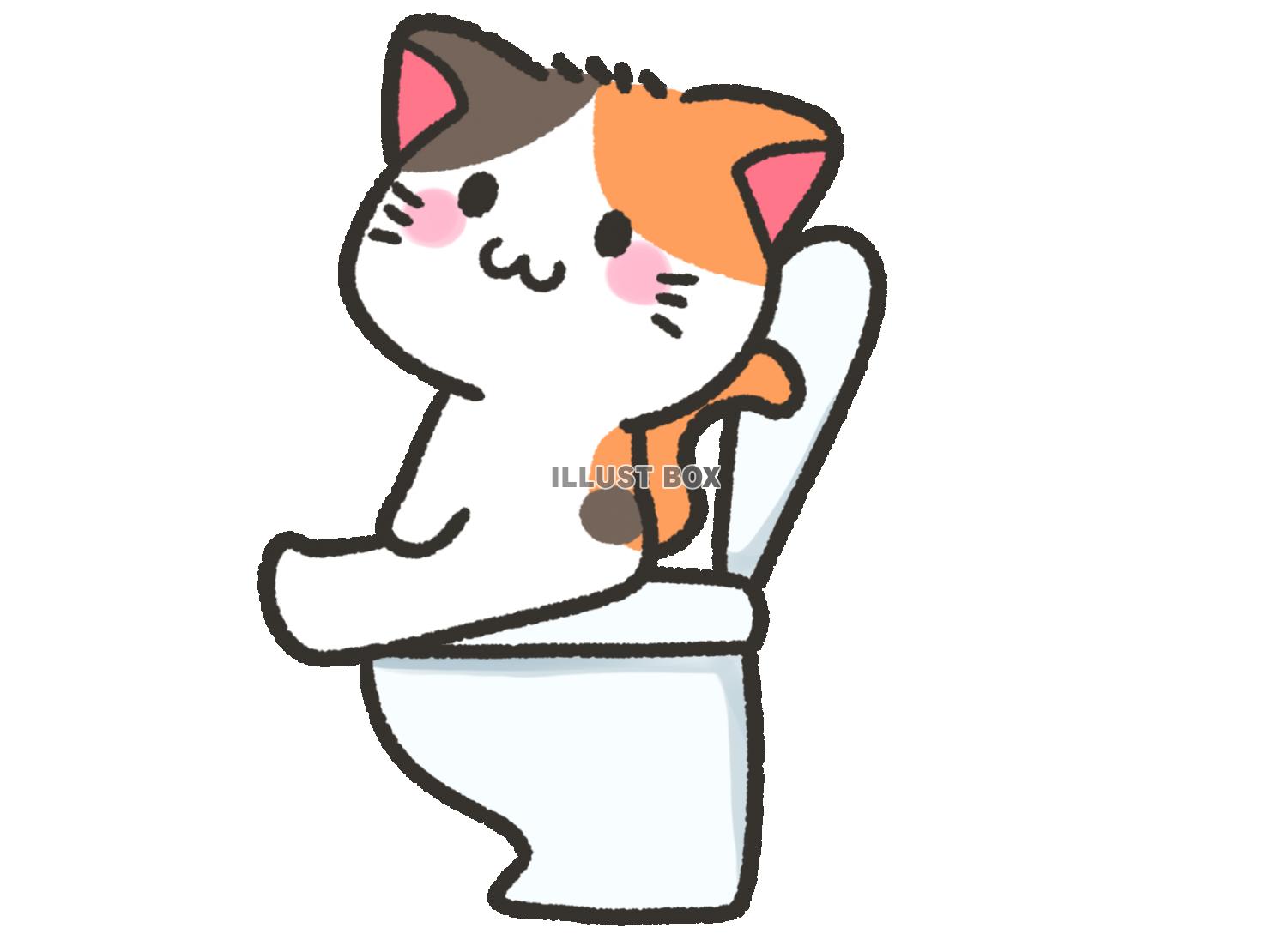 トイレに座るミケ猫