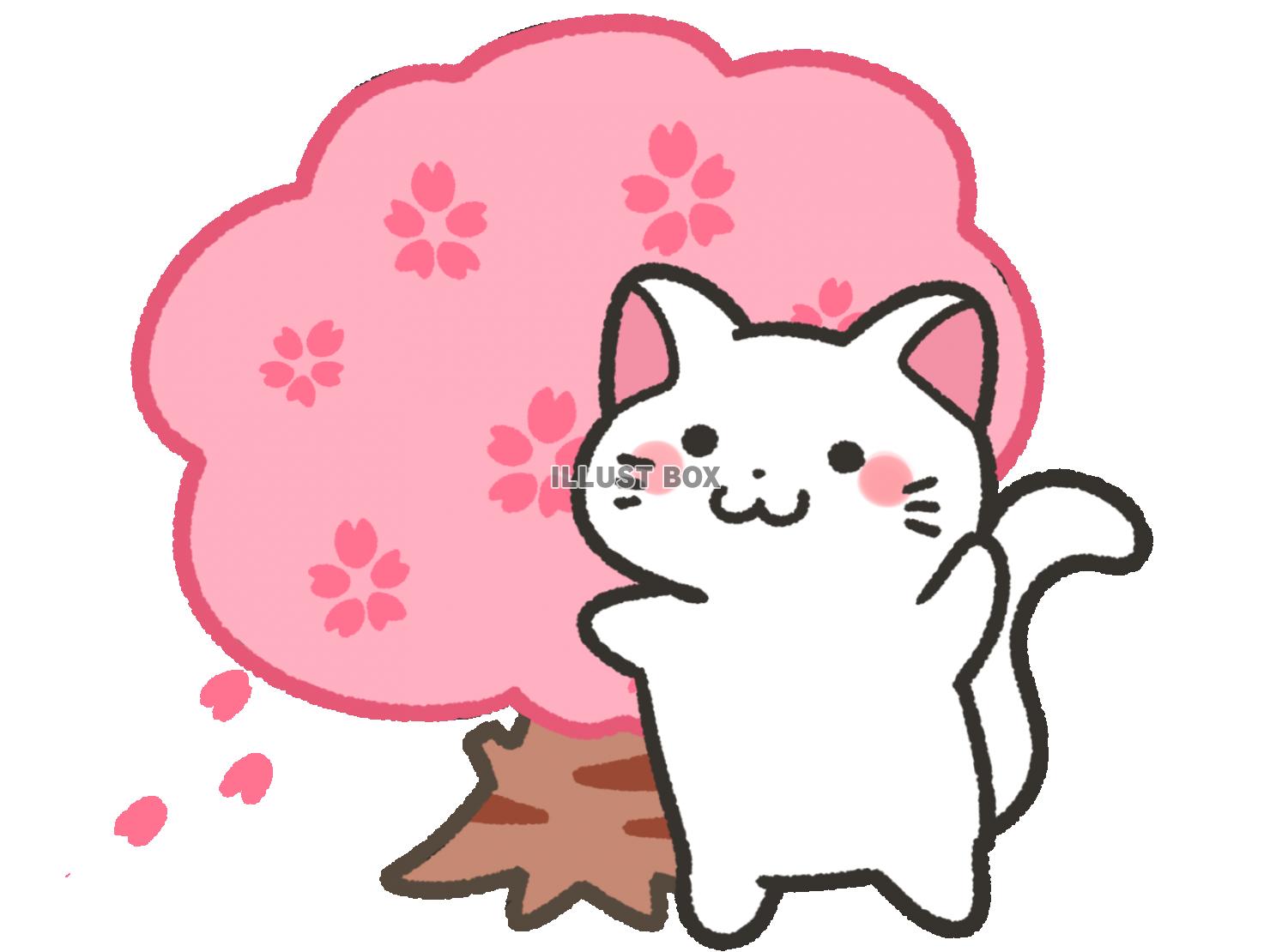 桜の木と白猫