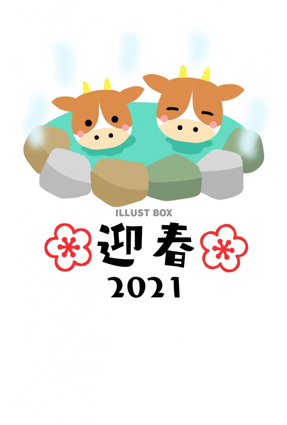 茶色の牛2頭が温泉につかっている2021の丑年年賀状