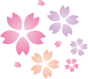 桜の花びら（春・カラフル）