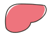 手描きのシンプルな肝臓