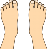 両足（上から見た図）