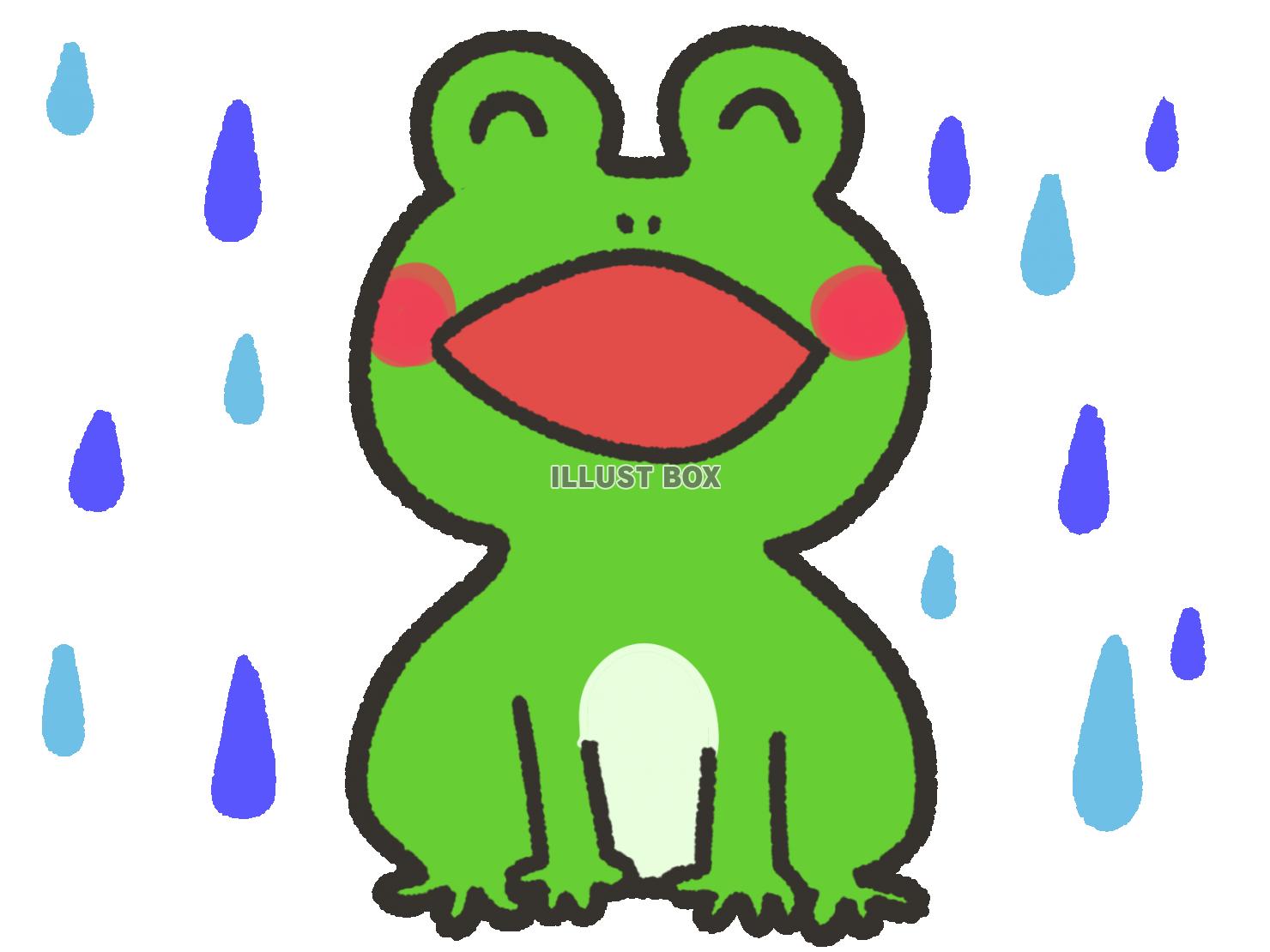かわいい歌うカエルと雨
