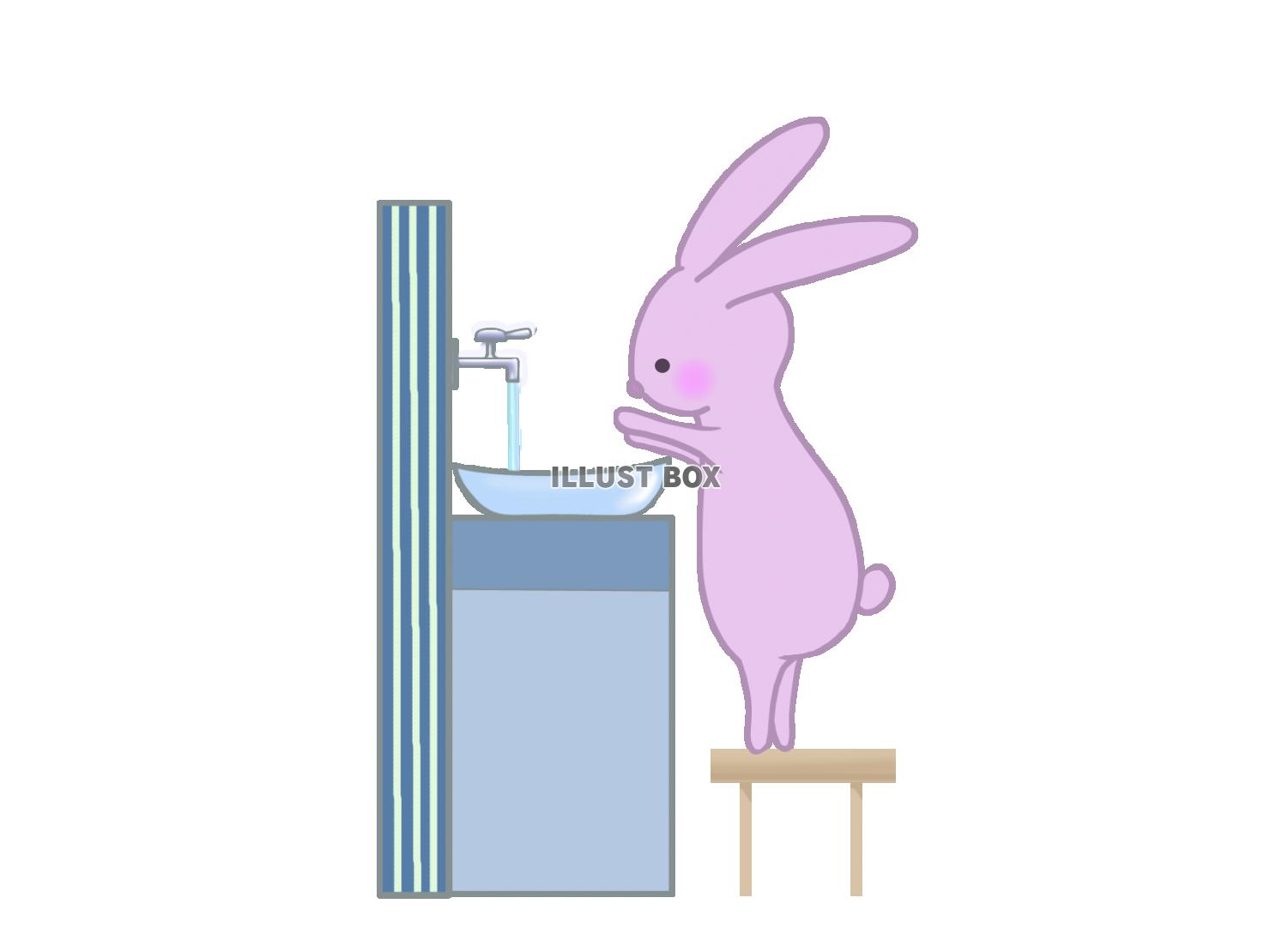 手洗いをするウサギのイラスト