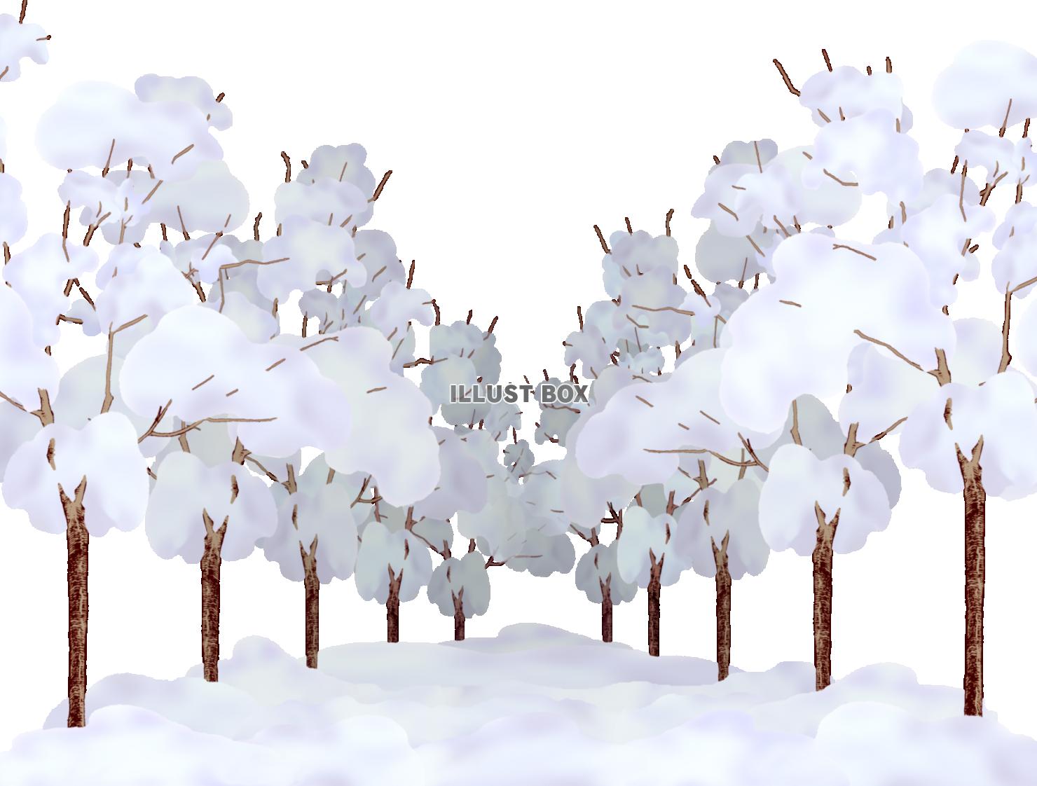 四季の遊歩道-冬