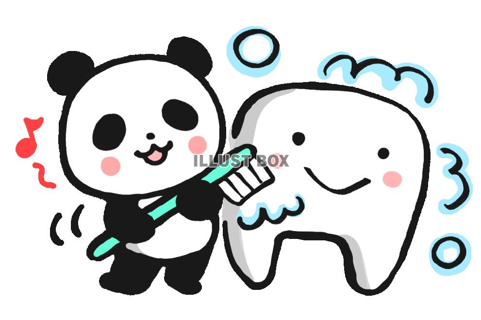 歯を磨こうパンダ１