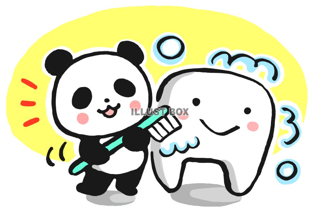 歯を磨こうパンダ３
