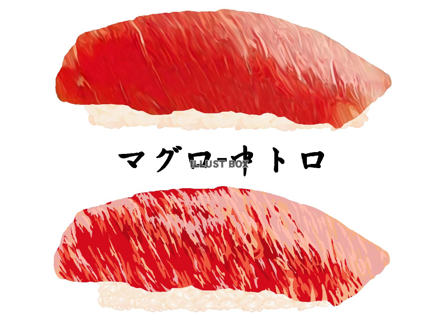 寿司-マグロ中トロ