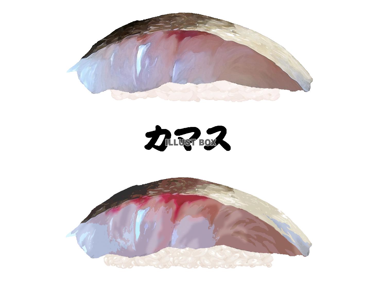 寿司-カマス
