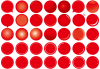赤い球体丸ボタン吹き出し・デザイン装飾セット