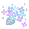 青系統の紫陽花　透過png