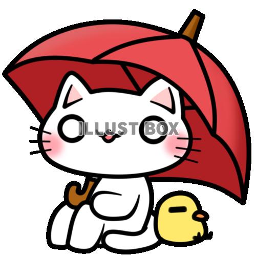 傘と白猫ちゃんとひよこ